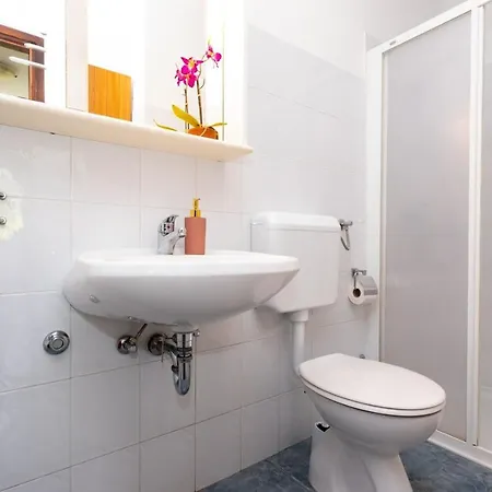 Guest house Sersic