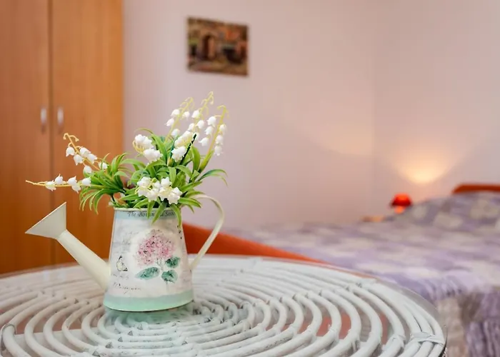 Sersic Casa de hóspedes