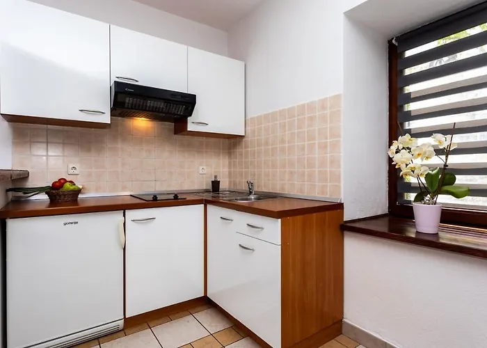 Sersic Casa de hóspedes 3*