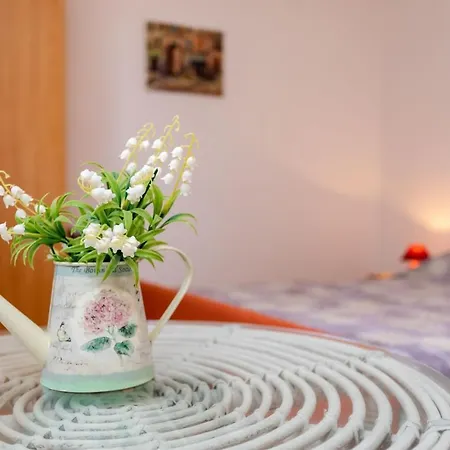 Sersic 게스트하우스